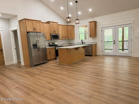 Tiny photo for 794 Red Cloud Rd, Ten Mile, TN 37880 (MLS # 1335951)