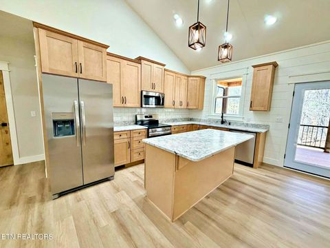 Tiny photo for 794 Red Cloud Rd, Ten Mile, TN 37880 (MLS # 1335951)