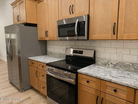 Tiny photo for 794 Red Cloud Rd, Ten Mile, TN 37880 (MLS # 1335951)