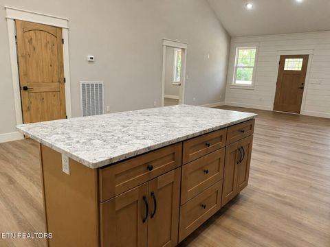 Tiny photo for 794 Red Cloud Rd, Ten Mile, TN 37880 (MLS # 1335951)