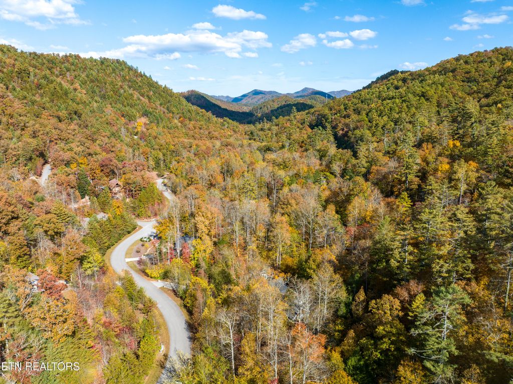 Photo of 144 Anatole Pass, Townsend, TN 37882 (MLS # 1243606)