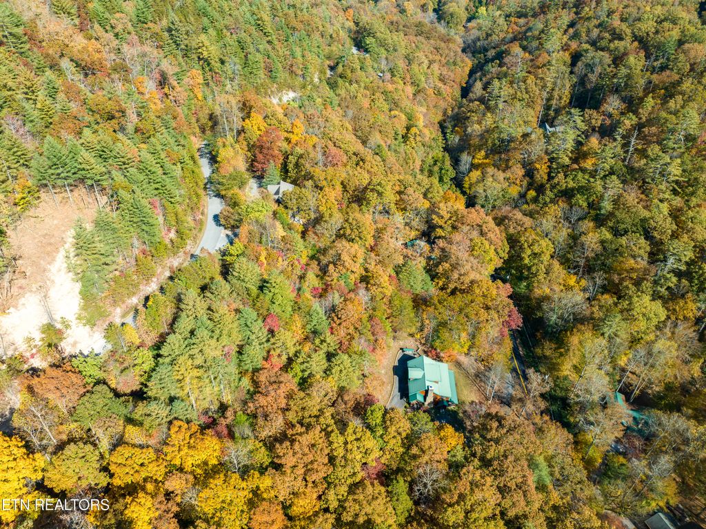 Photo of 144 Anatole Pass, Townsend, TN 37882 (MLS # 1243606)