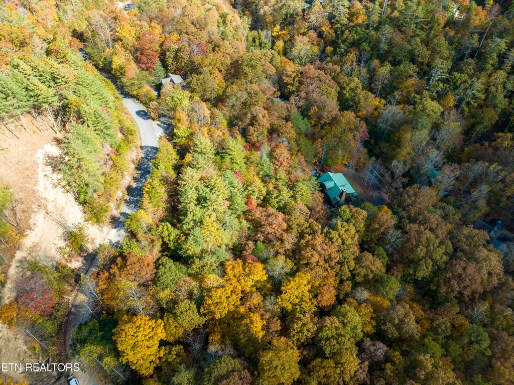 Photo of 144 Anatole Pass, Townsend, TN 37882 (MLS # 1243606)