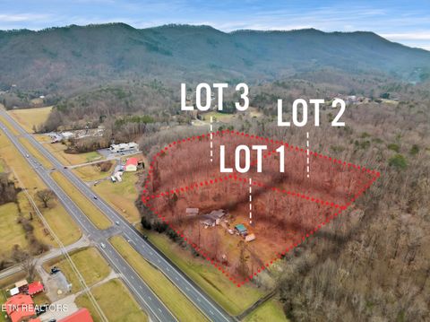 4532 E Lamar Alexander Pkwy Walland TN 37886