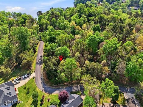 Tiny photo for 1609 Sequoyah Drive, Mooresburg, TN 37811 (MLS # 1337548)
