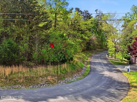 Tiny photo for 1609 Sequoyah Drive, Mooresburg, TN 37811 (MLS # 1337548)