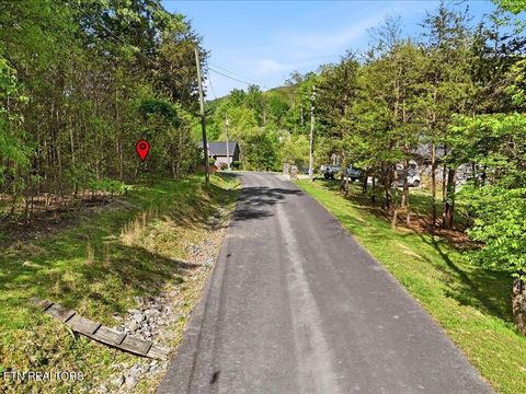 Tiny photo for 1609 Sequoyah Drive, Mooresburg, TN 37811 (MLS # 1337548)