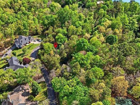 Tiny photo for 1609 Sequoyah Drive, Mooresburg, TN 37811 (MLS # 1337548)