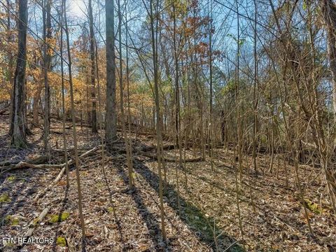 Tiny photo for 1609 Sequoyah Drive, Mooresburg, TN 37811 (MLS # 1337548)