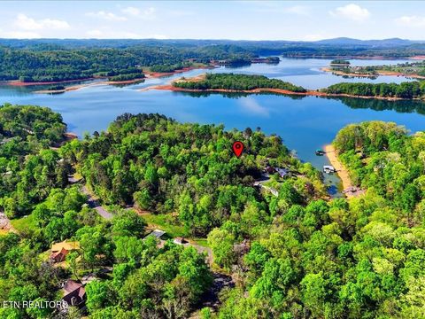 Tiny photo for 1609 Sequoyah Drive, Mooresburg, TN 37811 (MLS # 1337548)