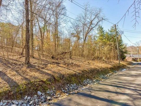 Tiny photo for 1609 Sequoyah Drive, Mooresburg, TN 37811 (MLS # 1337548)