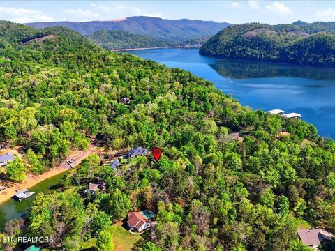 Tiny photo for 1609 Sequoyah Drive, Mooresburg, TN 37811 (MLS # 1337548)