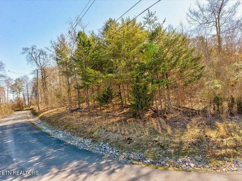 Tiny photo for 1609 Sequoyah Drive, Mooresburg, TN 37811 (MLS # 1337548)