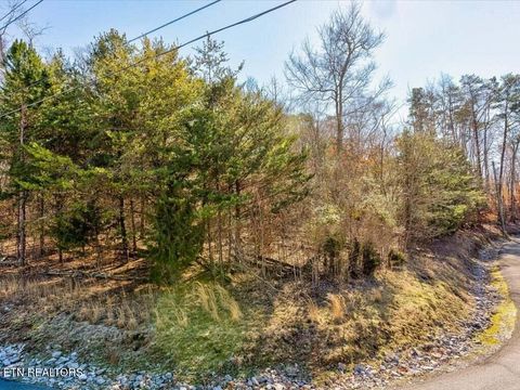 Tiny photo for 1609 Sequoyah Drive, Mooresburg, TN 37811 (MLS # 1337548)