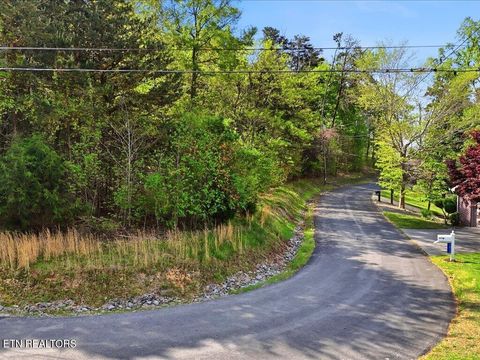 Tiny photo for 1609 Sequoyah Drive, Mooresburg, TN 37811 (MLS # 1337548)