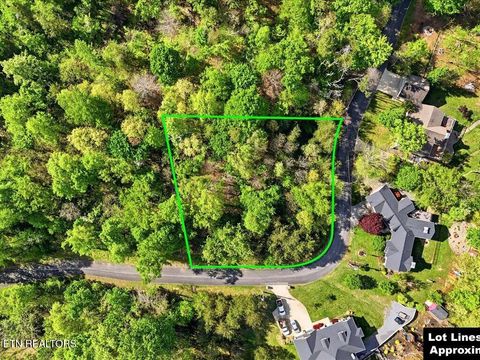 Tiny photo for 1609 Sequoyah Drive, Mooresburg, TN 37811 (MLS # 1337548)