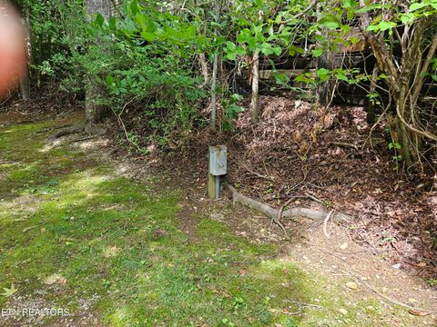 Tiny photo for 417 Mountain Thrush Drive, Townsend, TN 37882 (MLS # 1345716)