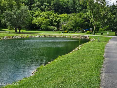 Tiny photo for 417 Mountain Thrush Drive, Townsend, TN 37882 (MLS # 1345716)