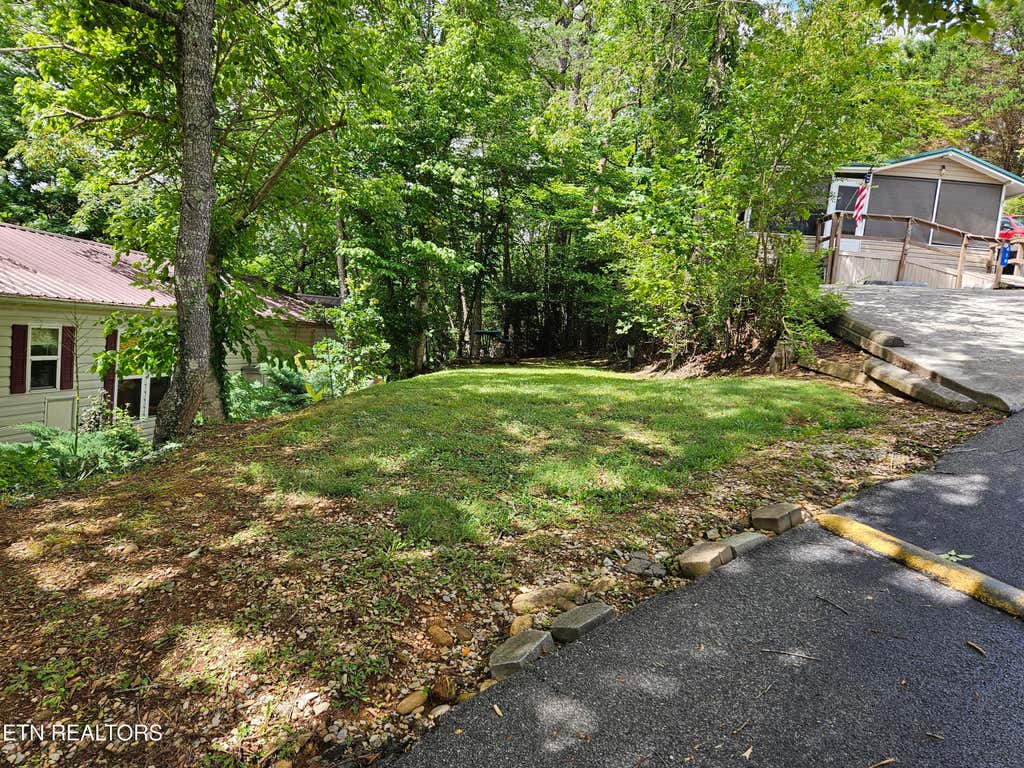 Photo of 417 Mountain Thrush Drive, Townsend, TN 37882 (MLS # 1345716)