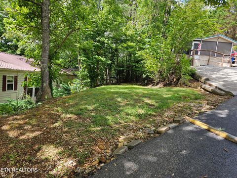 Photo of 417 Mountain Thrush Drive, Townsend, TN 37882 (MLS # 1345716)