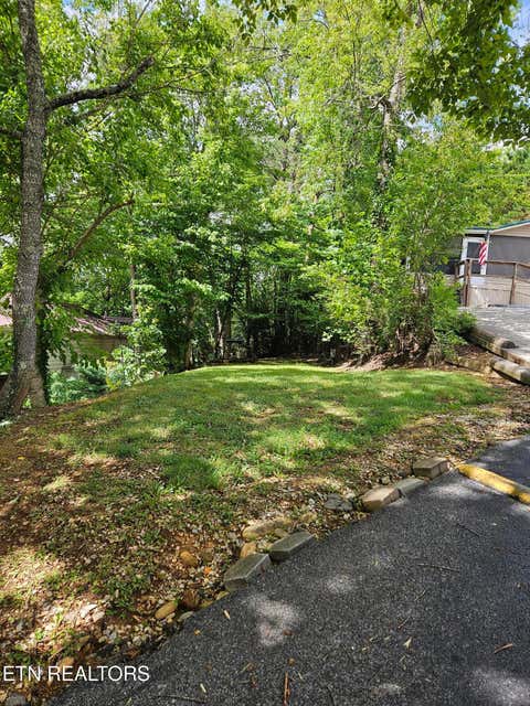 Tiny photo for 417 Mountain Thrush Drive, Townsend, TN 37882 (MLS # 1345716)