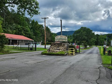 Tiny photo for 417 Mountain Thrush Drive, Townsend, TN 37882 (MLS # 1345716)