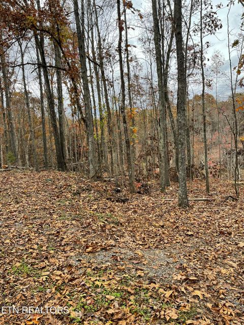 Tiny photo for 300 Ivy Moore Circle, Decatur, TN 37322 (MLS # 1322018)