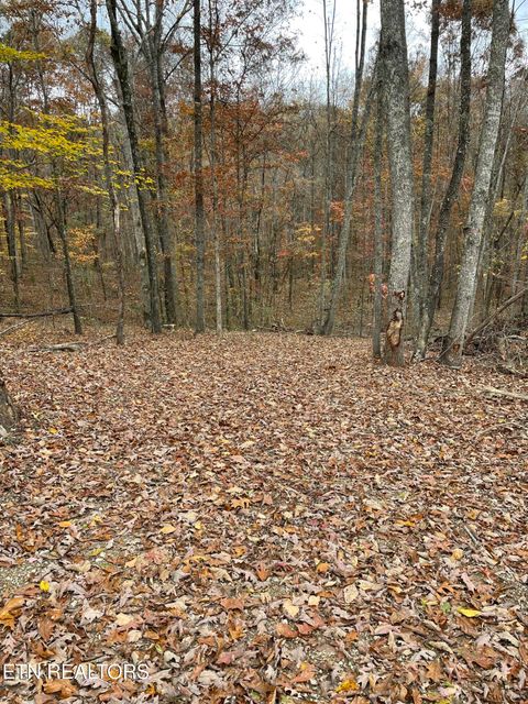 Tiny photo for 300 Ivy Moore Circle, Decatur, TN 37322 (MLS # 1322018)