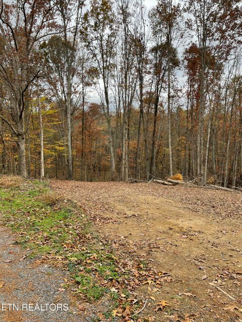 Tiny photo for 300 Ivy Moore Circle, Decatur, TN 37322 (MLS # 1322018)