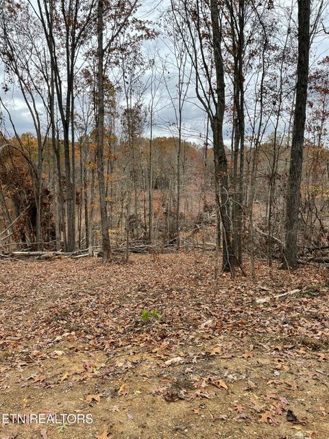 Tiny photo for 300 Ivy Moore Circle, Decatur, TN 37322 (MLS # 1322018)