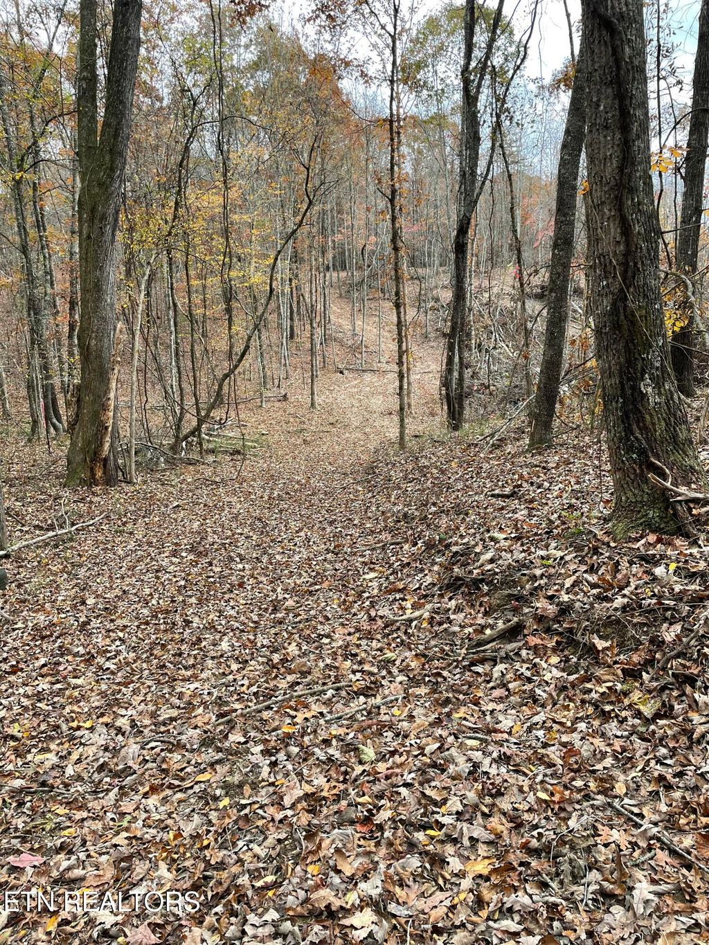 Photo of 300 Ivy Moore Circle, Decatur, TN 37322 (MLS # 1322018)