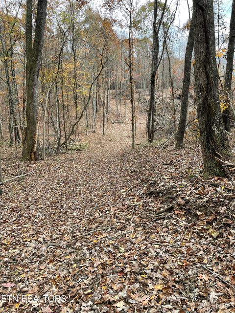 Photo of 300 Ivy Moore Circle, Decatur, TN 37322 (MLS # 1322018)