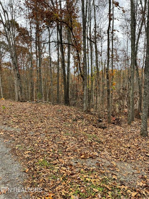 Tiny photo for 300 Ivy Moore Circle, Decatur, TN 37322 (MLS # 1322018)