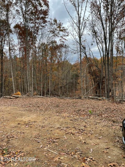 Tiny photo for 300 Ivy Moore Circle, Decatur, TN 37322 (MLS # 1322018)