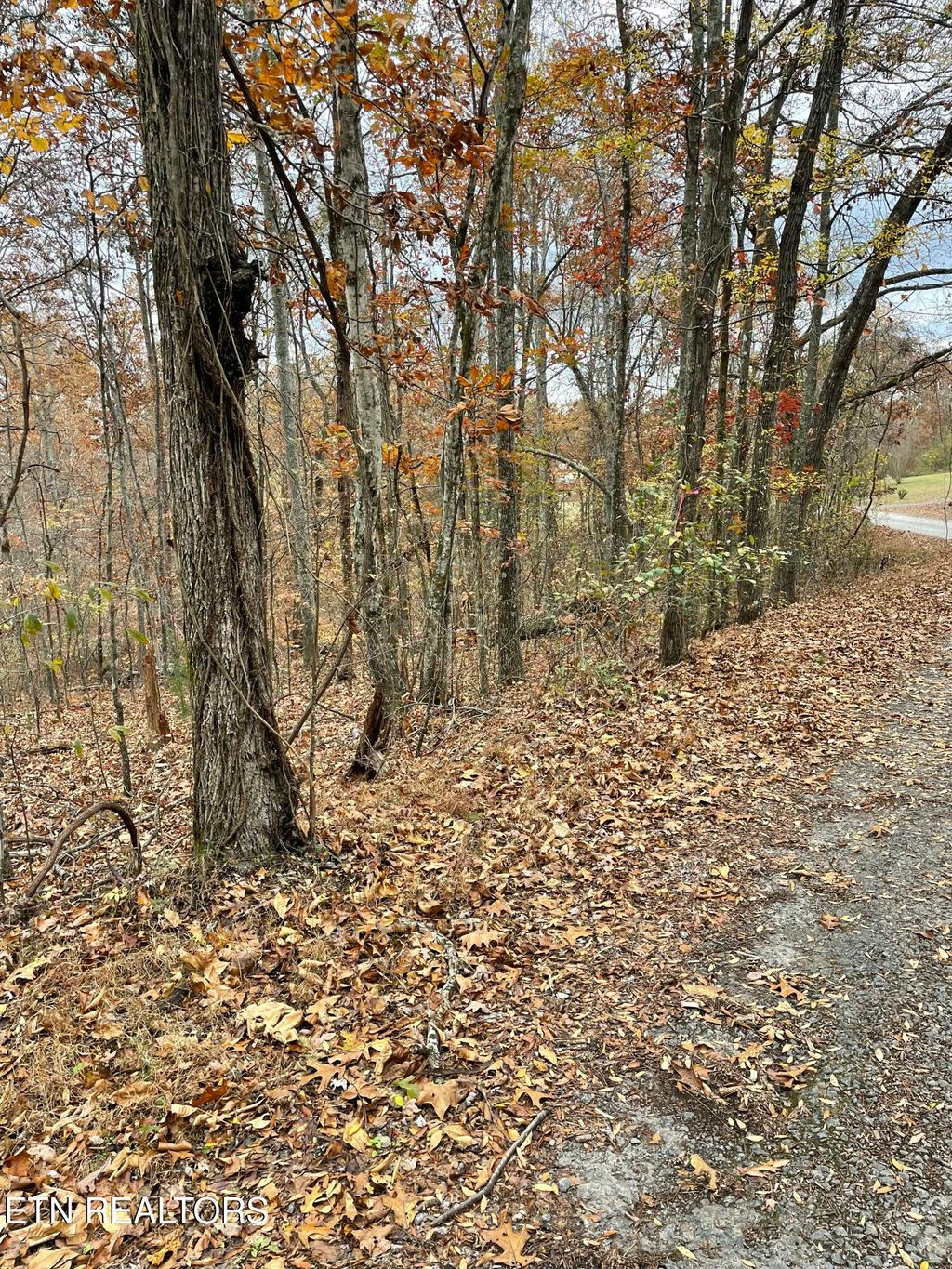 Photo of 300 Ivy Moore Circle, Decatur, TN 37322 (MLS # 1322018)