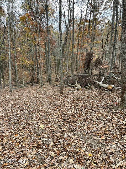 Tiny photo for 300 Ivy Moore Circle, Decatur, TN 37322 (MLS # 1322018)