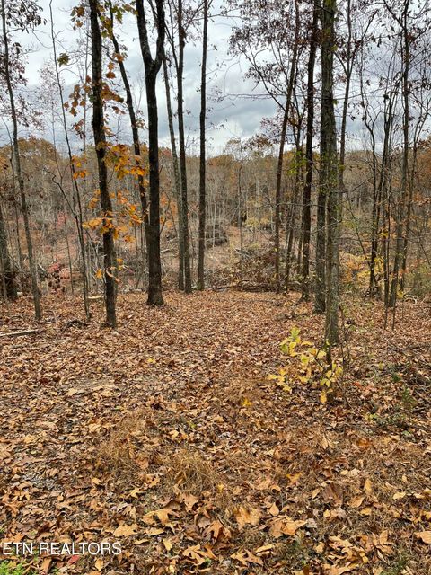 Tiny photo for 300 Ivy Moore Circle, Decatur, TN 37322 (MLS # 1322018)