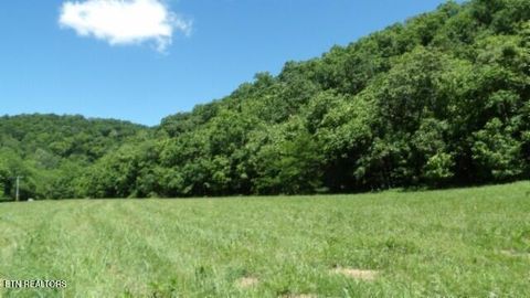 0 Brimstone Creek Rd Moss TN 38575