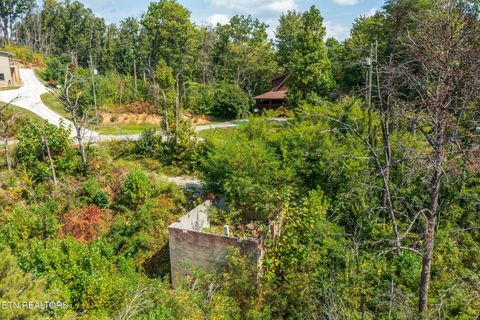 Tiny photo for 3217 Emerald Springs Loop, Sevierville, TN 37862 (MLS # 1327900)
