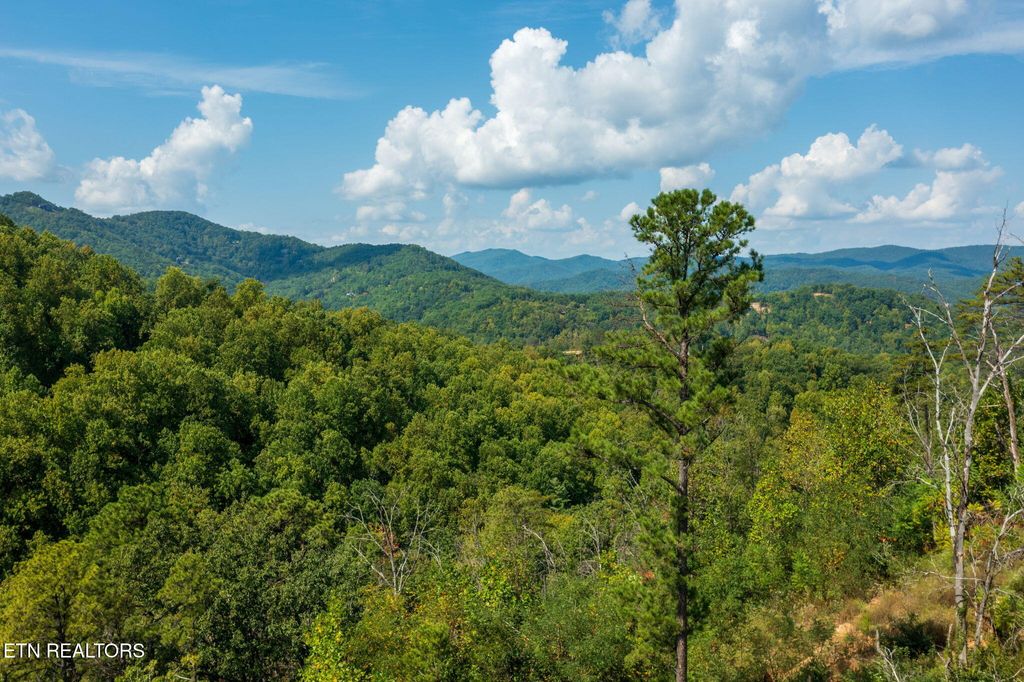 Photo of 3217 Emerald Springs Loop, Sevierville, TN 37862 (MLS # 1327900)