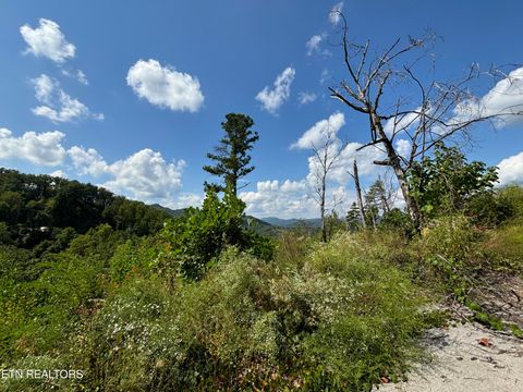 Photo of 3217 Emerald Springs Loop, Sevierville, TN 37862 (MLS # 1327900)