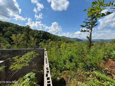 Tiny photo for 3217 Emerald Springs Loop, Sevierville, TN 37862 (MLS # 1327900)