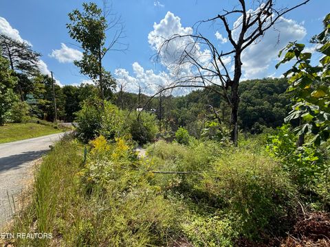 Tiny photo for 3217 Emerald Springs Loop, Sevierville, TN 37862 (MLS # 1327900)