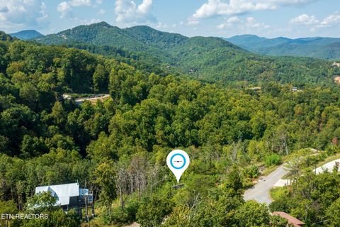Tiny photo for 3217 Emerald Springs Loop, Sevierville, TN 37862 (MLS # 1327900)