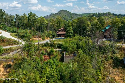 Tiny photo for 3217 Emerald Springs Loop, Sevierville, TN 37862 (MLS # 1327900)
