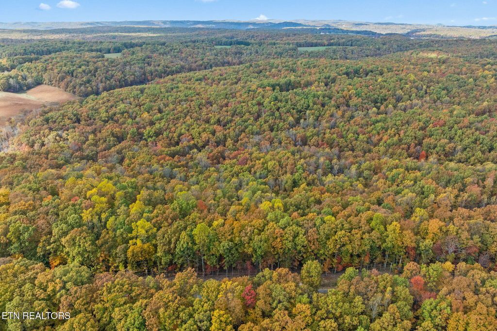 Photo of 461 E Cove Rd, Monterey, TN 38574 (MLS # 1321022)