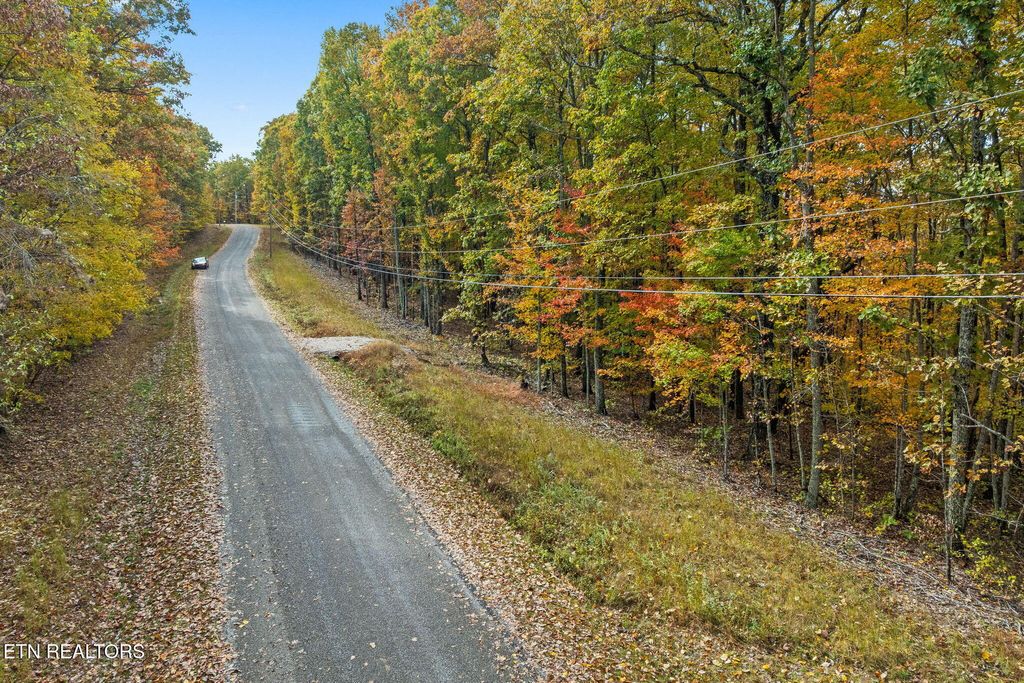 Photo of 461 E Cove Rd, Monterey, TN 38574 (MLS # 1321022)