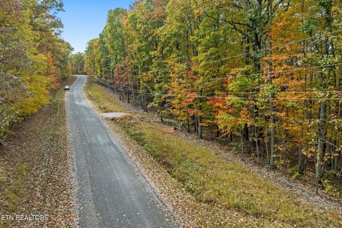Photo of 461 E Cove Rd, Monterey, TN 38574 (MLS # 1321022)