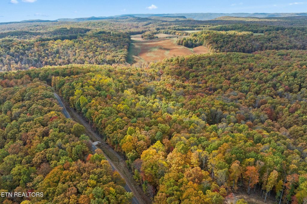 Photo of 461 E Cove Rd, Monterey, TN 38574 (MLS # 1321022)