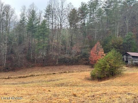 Tiny photo for 680 Bug Branch Rd, Del Rio, TN 37727 (MLS # 1322852)